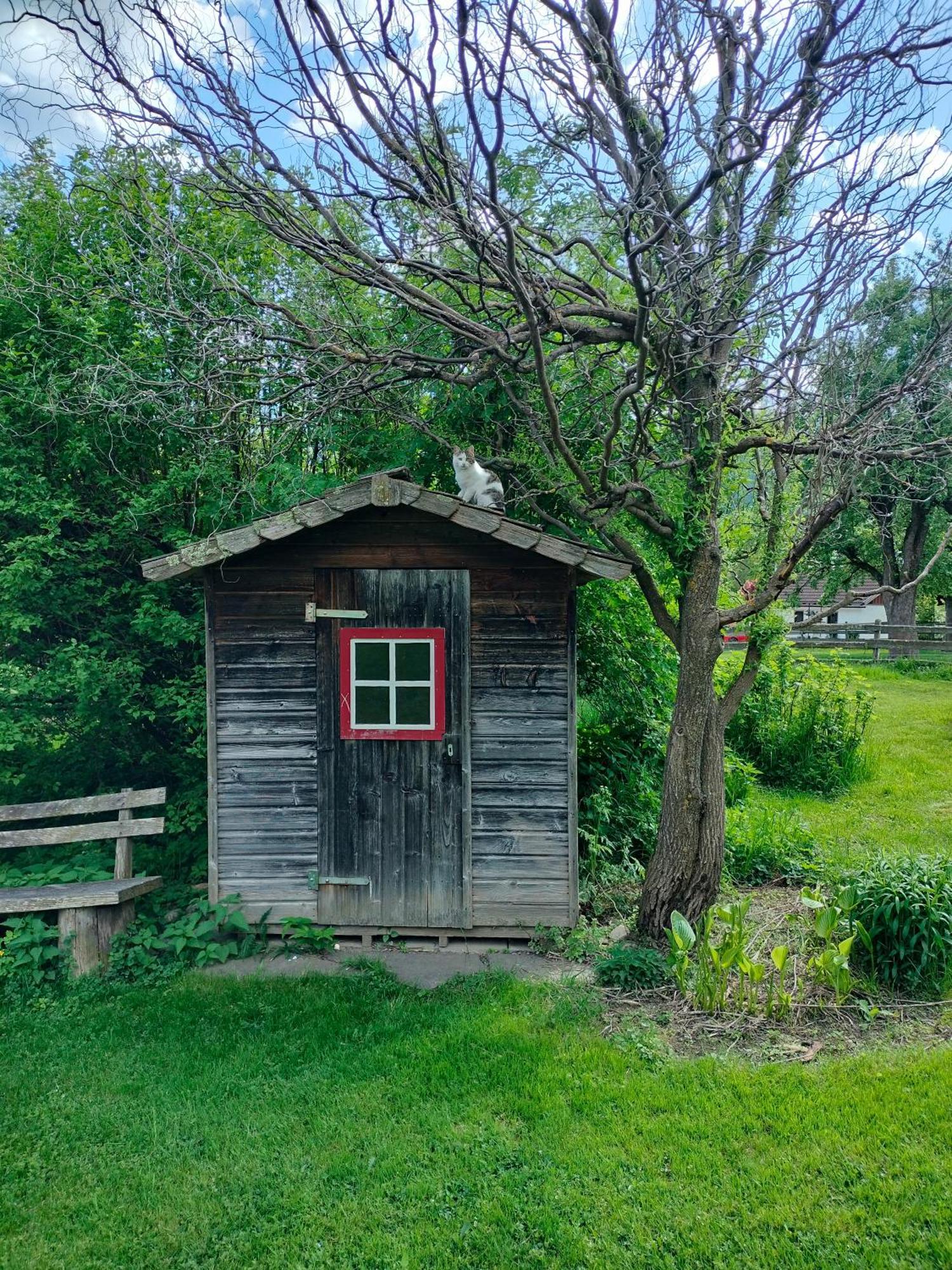 Koestlhof, Familie Hassler Bed and Breakfast Oberdrauburg Buitenkant foto